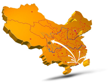 專業(yè)優(yōu)勢